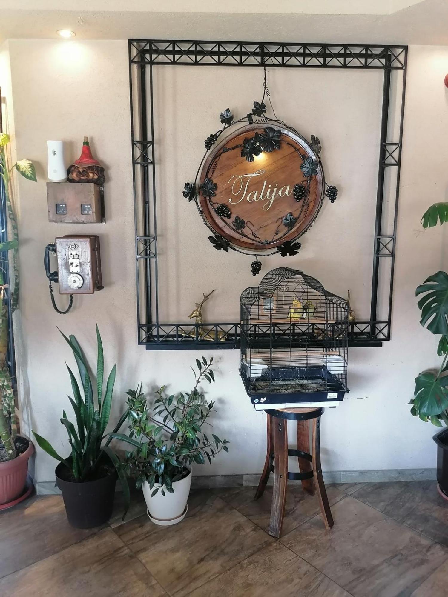 Hotel Talija Svilajnac Dış mekan fotoğraf